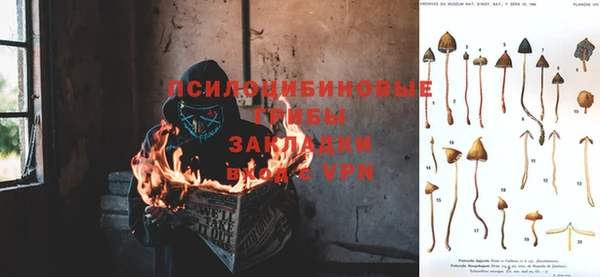 а пвп мука Коряжма