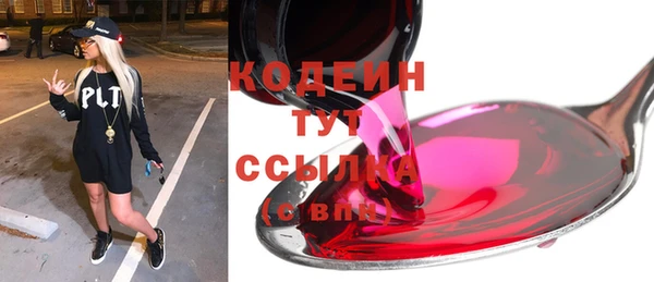 ешки Корсаков