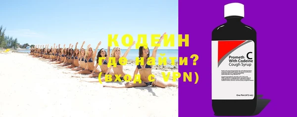 ешки Корсаков