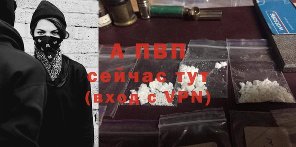 ешки Корсаков