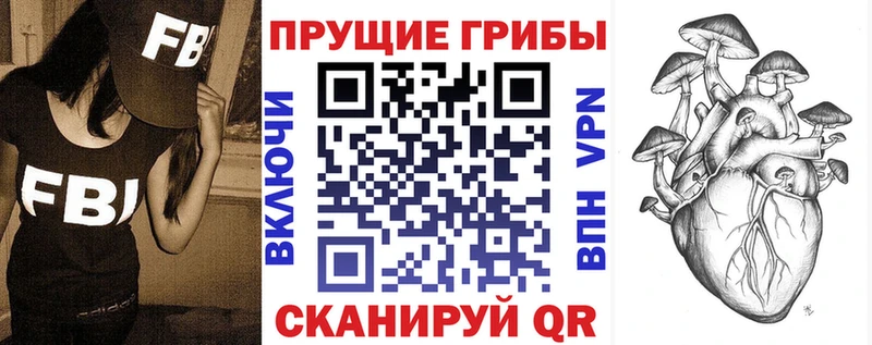 Купить  Дубовка  Галлюциногенные грибы Psilocybe 